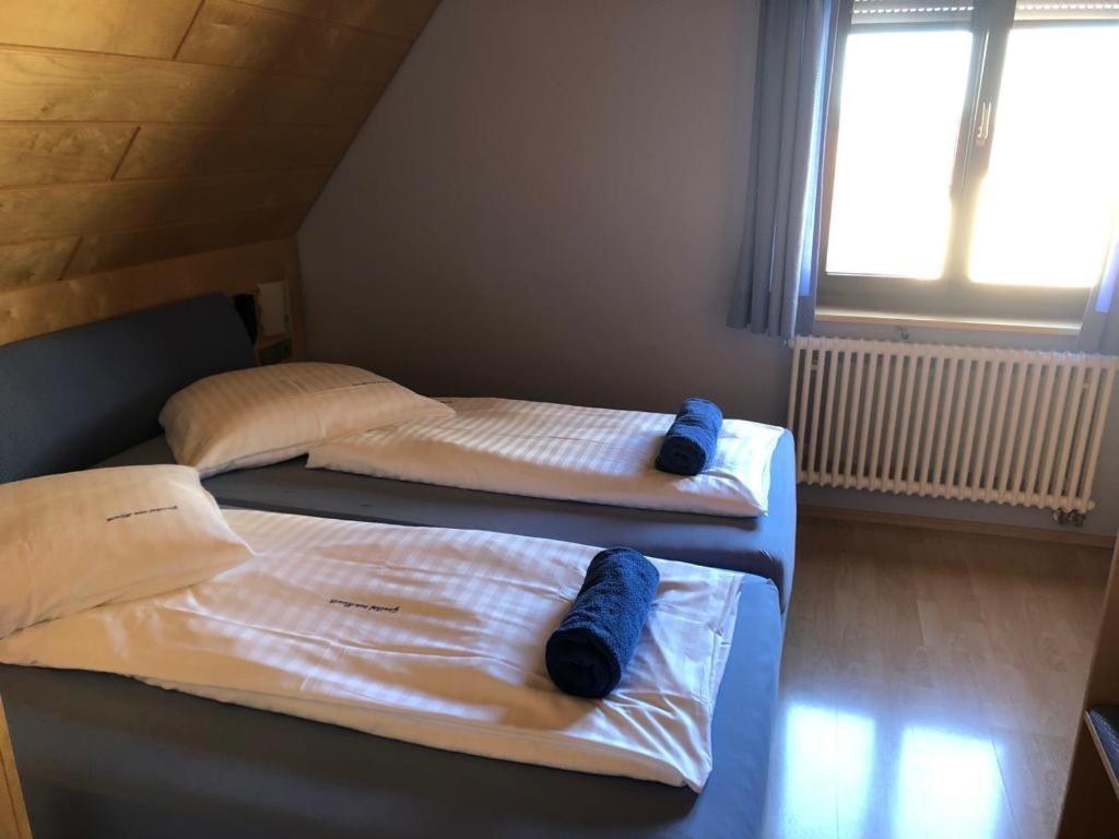 Gasthof Zum Hirsch Sachsenheim Kültér fotó
